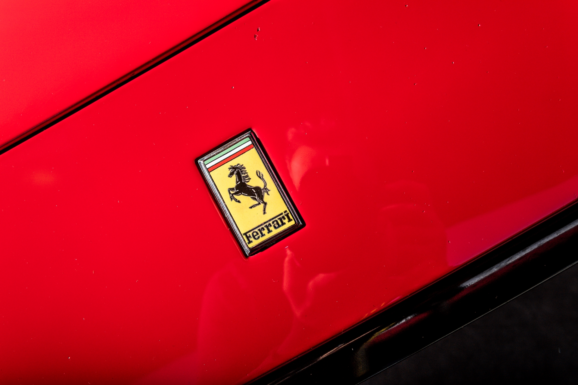 dsc_2249.jpg