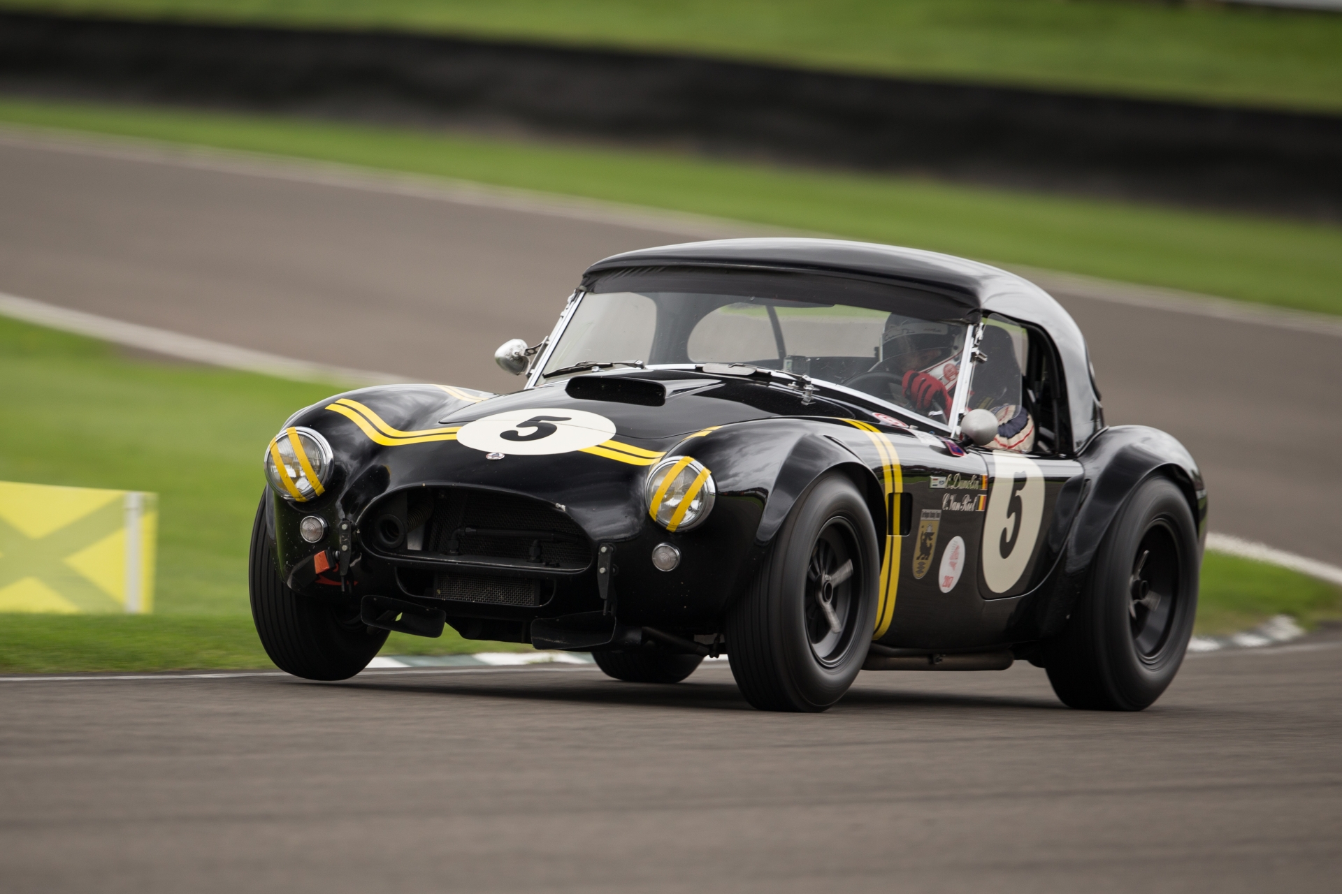 wm-2017-goodwood-revival-cobra-34.jpg