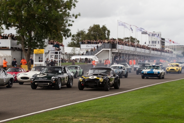 wm-2017-goodwood-revival-cobra-30.jpg